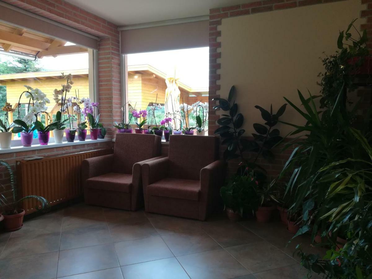Pensiunea Colt Alb Băile Homorod